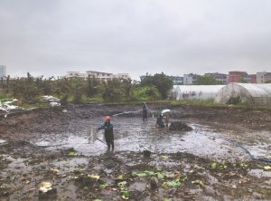 沧源河道鱼塘清淤